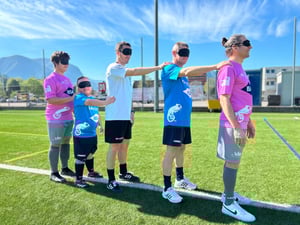 Chameleons pose just before an activity